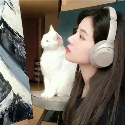 成年人的友谊